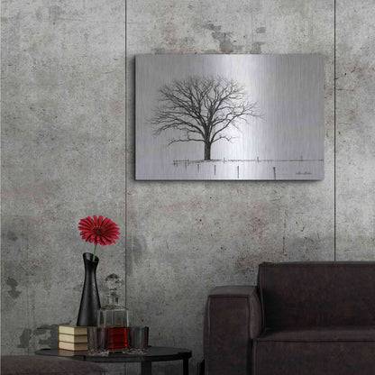 Luxe Metal Art 'Bare' by Lori Deiter, Metal Wall Art,36x24