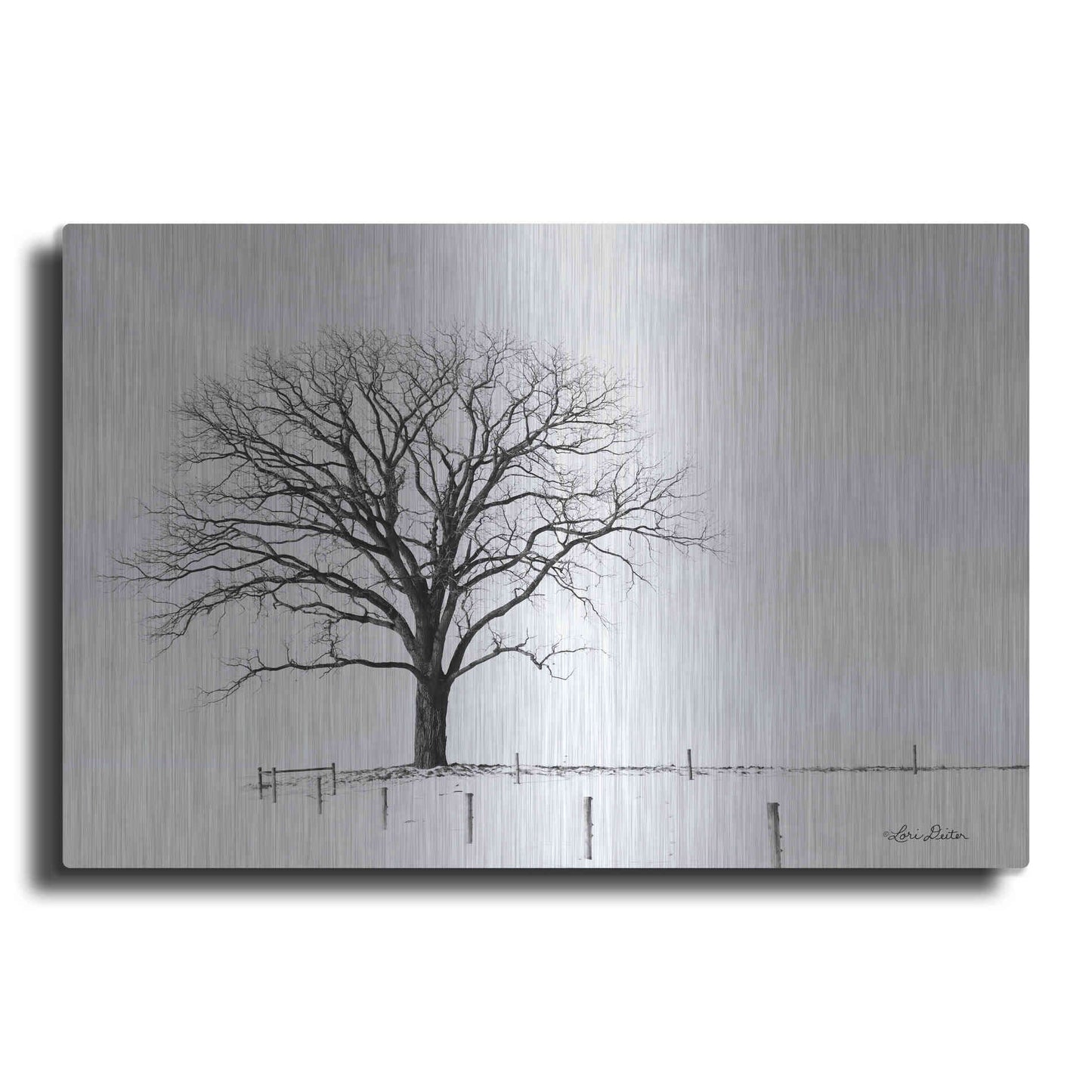 Luxe Metal Art 'Bare' by Lori Deiter, Metal Wall Art
