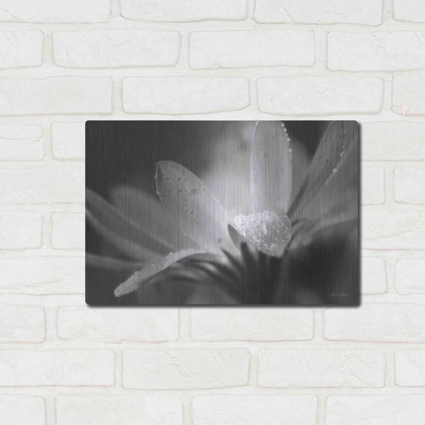 Luxe Metal Art 'Daisy' by Lori Deiter, Metal Wall Art,16x12