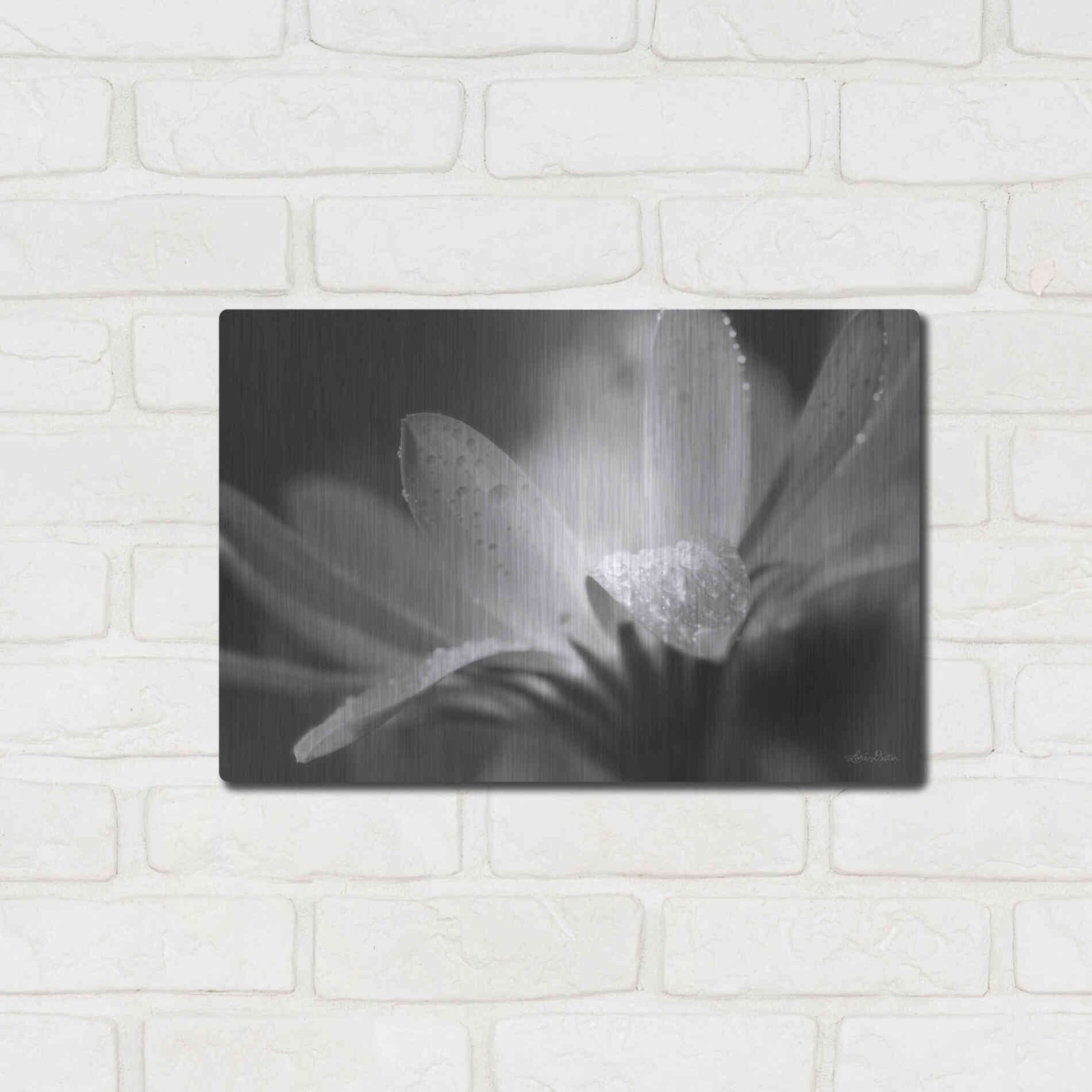 Luxe Metal Art 'Daisy' by Lori Deiter, Metal Wall Art,16x12