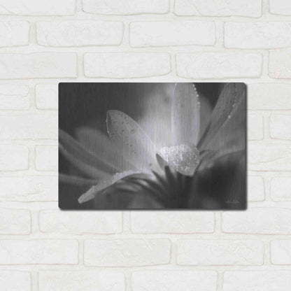 Luxe Metal Art 'Daisy' by Lori Deiter, Metal Wall Art,16x12