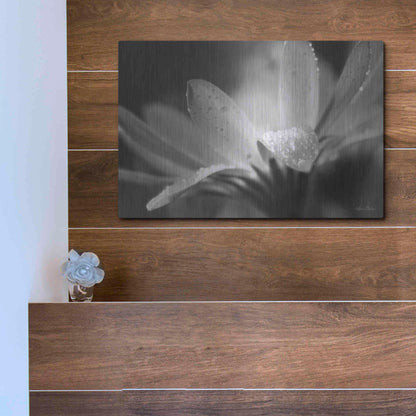 Luxe Metal Art 'Daisy' by Lori Deiter, Metal Wall Art,16x12