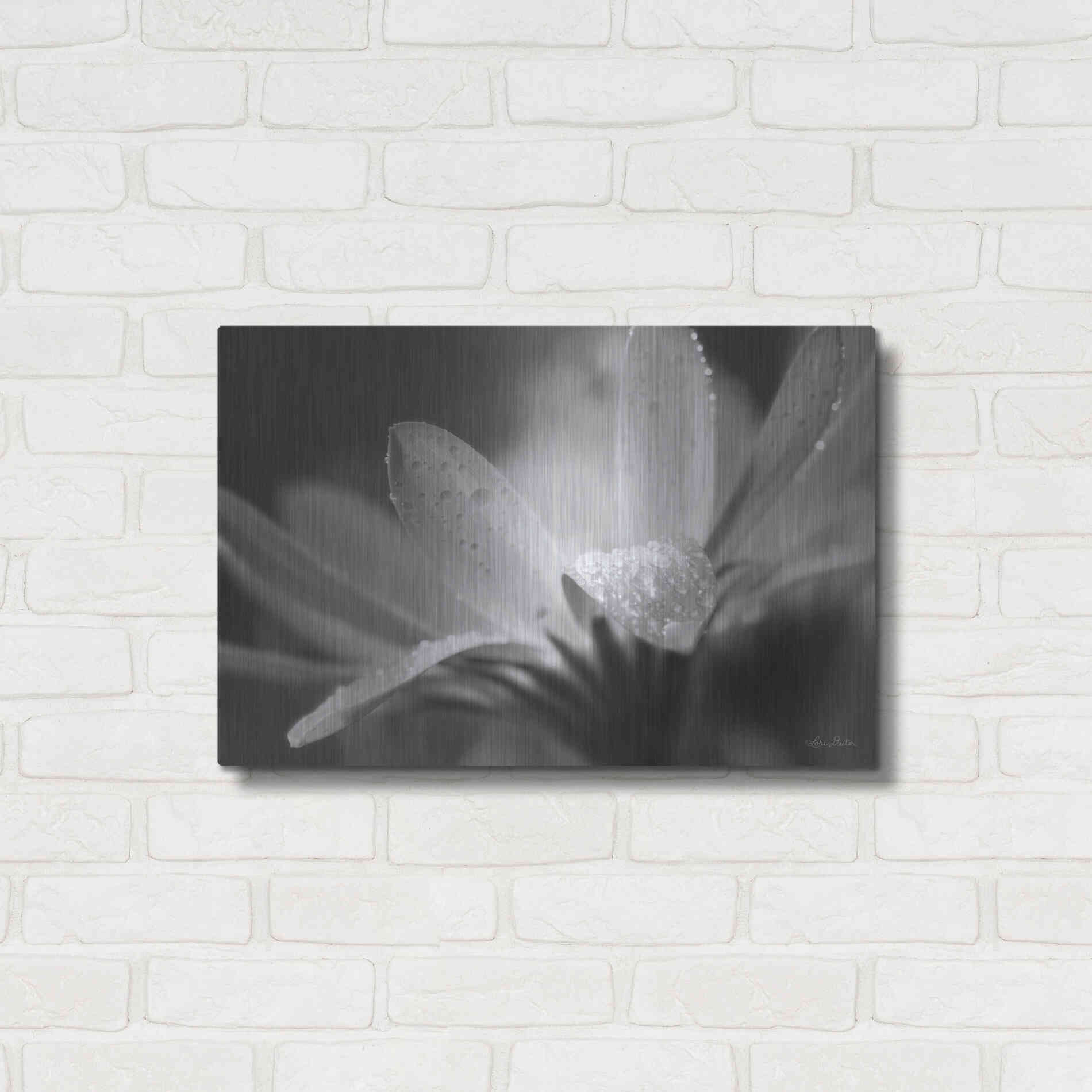 Luxe Metal Art 'Daisy' by Lori Deiter, Metal Wall Art,24x16