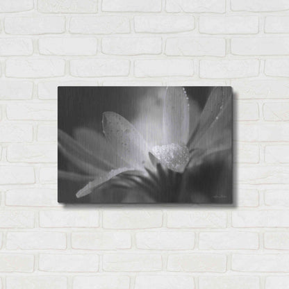 Luxe Metal Art 'Daisy' by Lori Deiter, Metal Wall Art,24x16