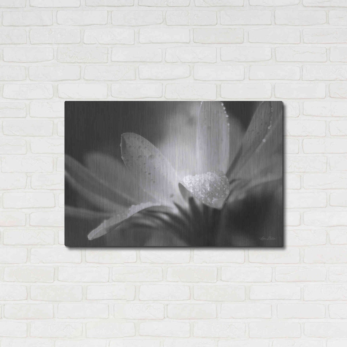 Luxe Metal Art 'Daisy' by Lori Deiter, Metal Wall Art,36x24