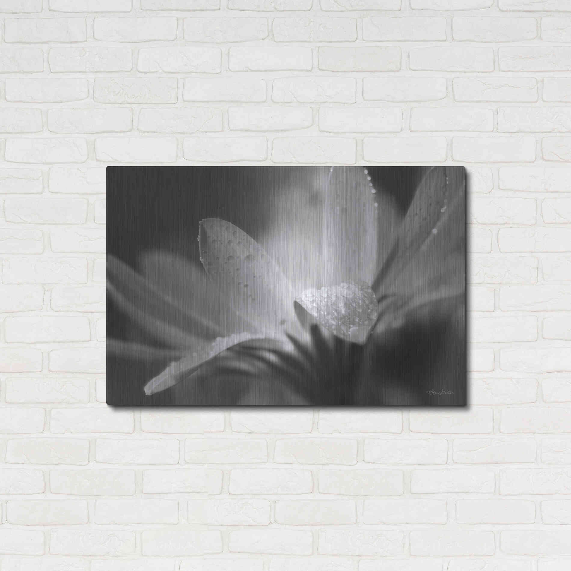 Luxe Metal Art 'Daisy' by Lori Deiter, Metal Wall Art,36x24