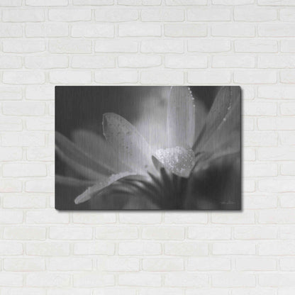 Luxe Metal Art 'Daisy' by Lori Deiter, Metal Wall Art,36x24