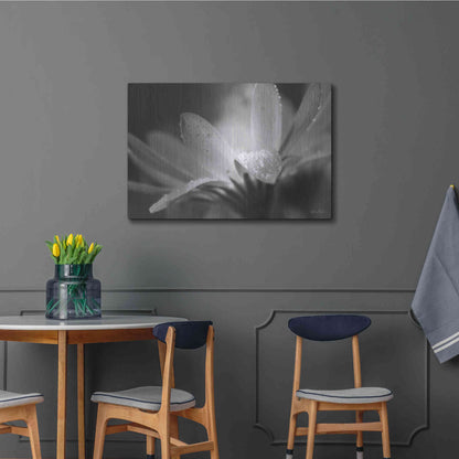 Luxe Metal Art 'Daisy' by Lori Deiter, Metal Wall Art,36x24