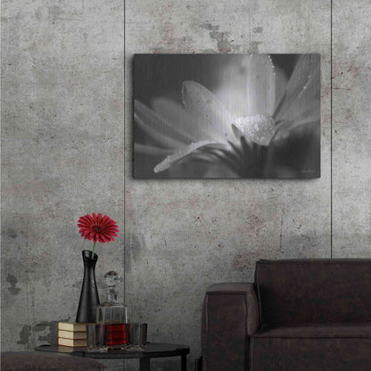 Luxe Metal Art 'Daisy' by Lori Deiter, Metal Wall Art,36x24