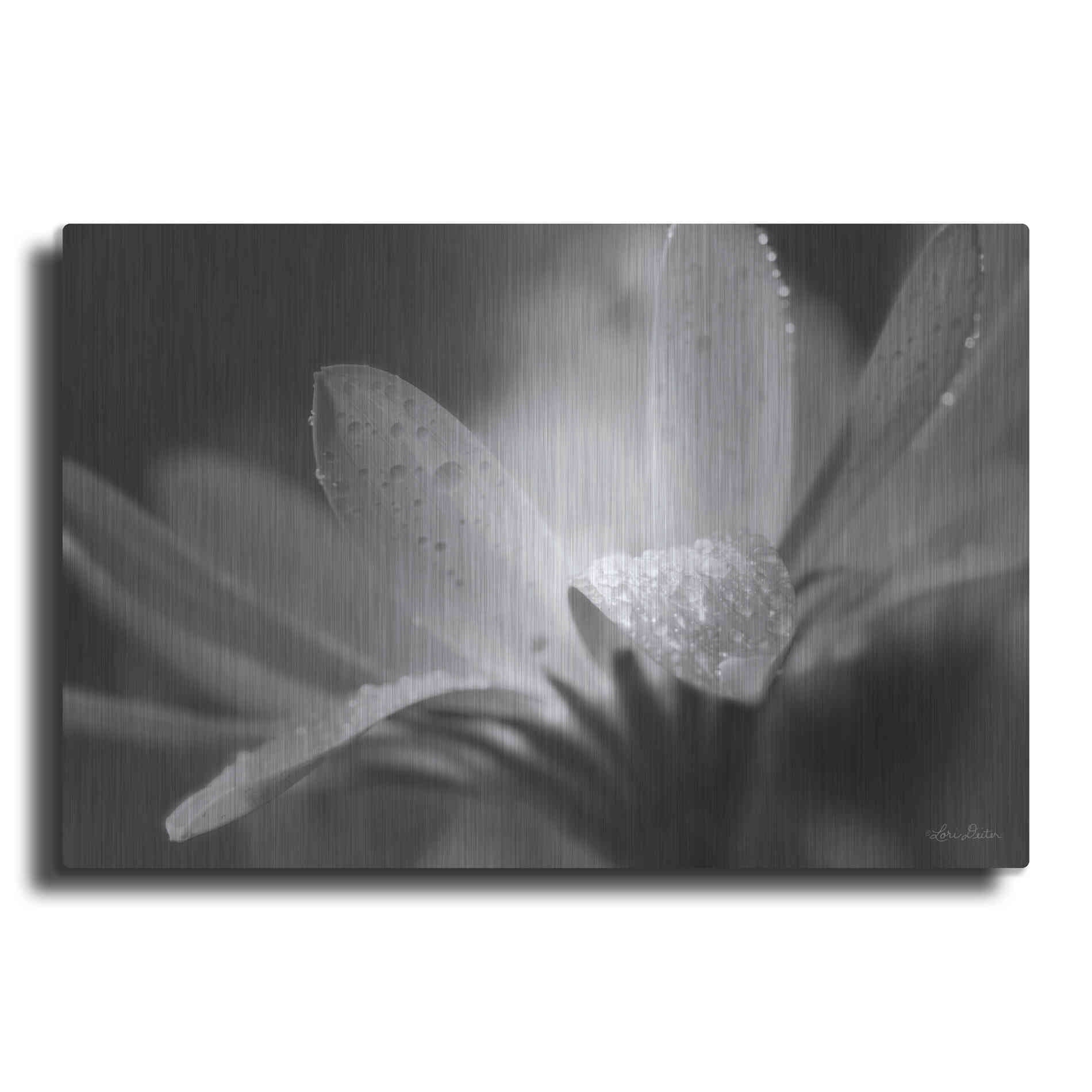 Luxe Metal Art 'Daisy' by Lori Deiter, Metal Wall Art