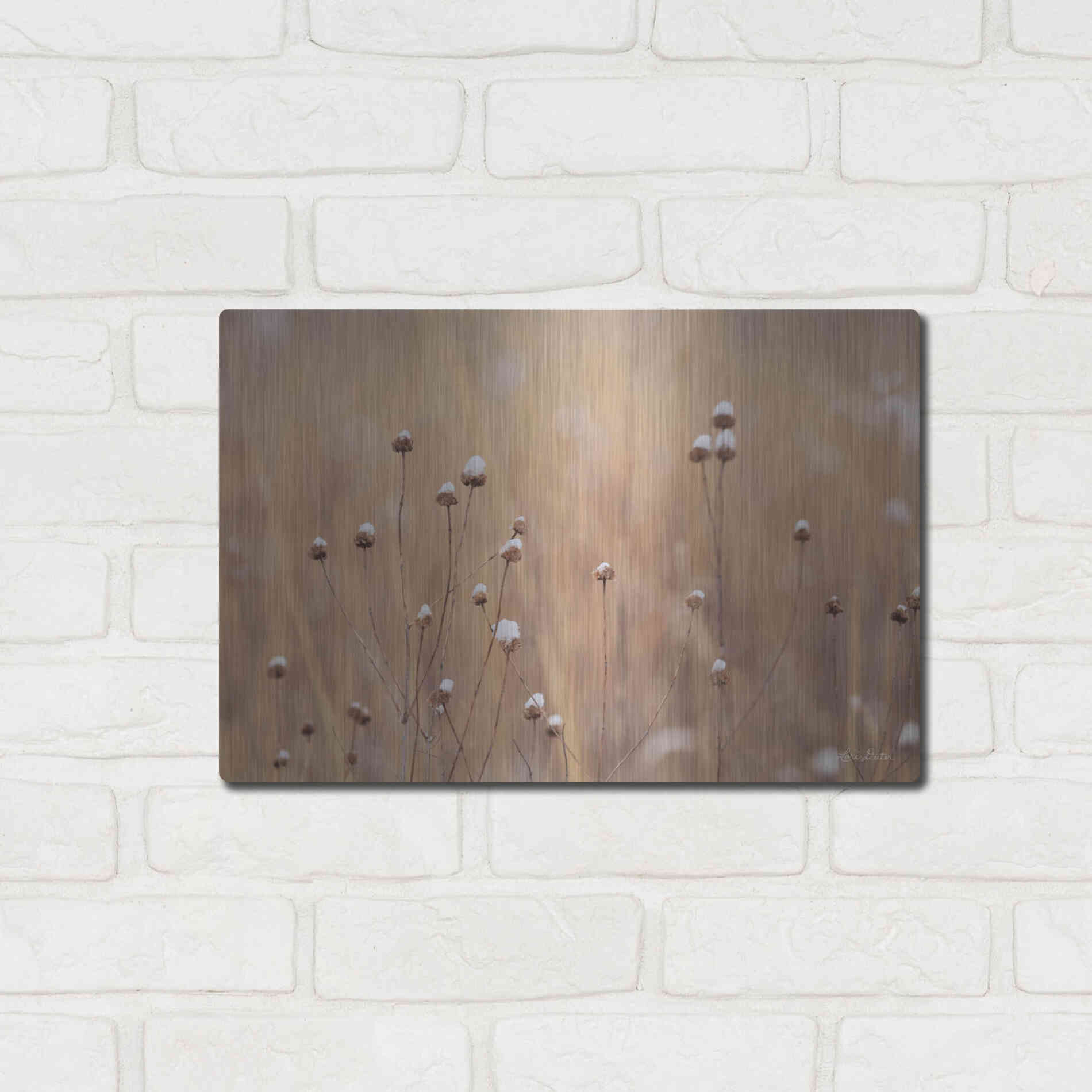 Luxe Metal Art 'Snow Capped Wildflowers' by Lori Deiter, Metal Wall Art,16x12
