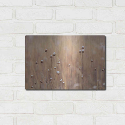 Luxe Metal Art 'Snow Capped Wildflowers' by Lori Deiter, Metal Wall Art,16x12