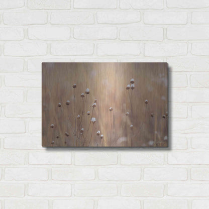 Luxe Metal Art 'Snow Capped Wildflowers' by Lori Deiter, Metal Wall Art,24x16