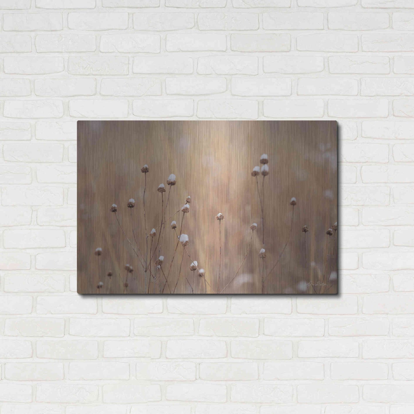 Luxe Metal Art 'Snow Capped Wildflowers' by Lori Deiter, Metal Wall Art,36x24