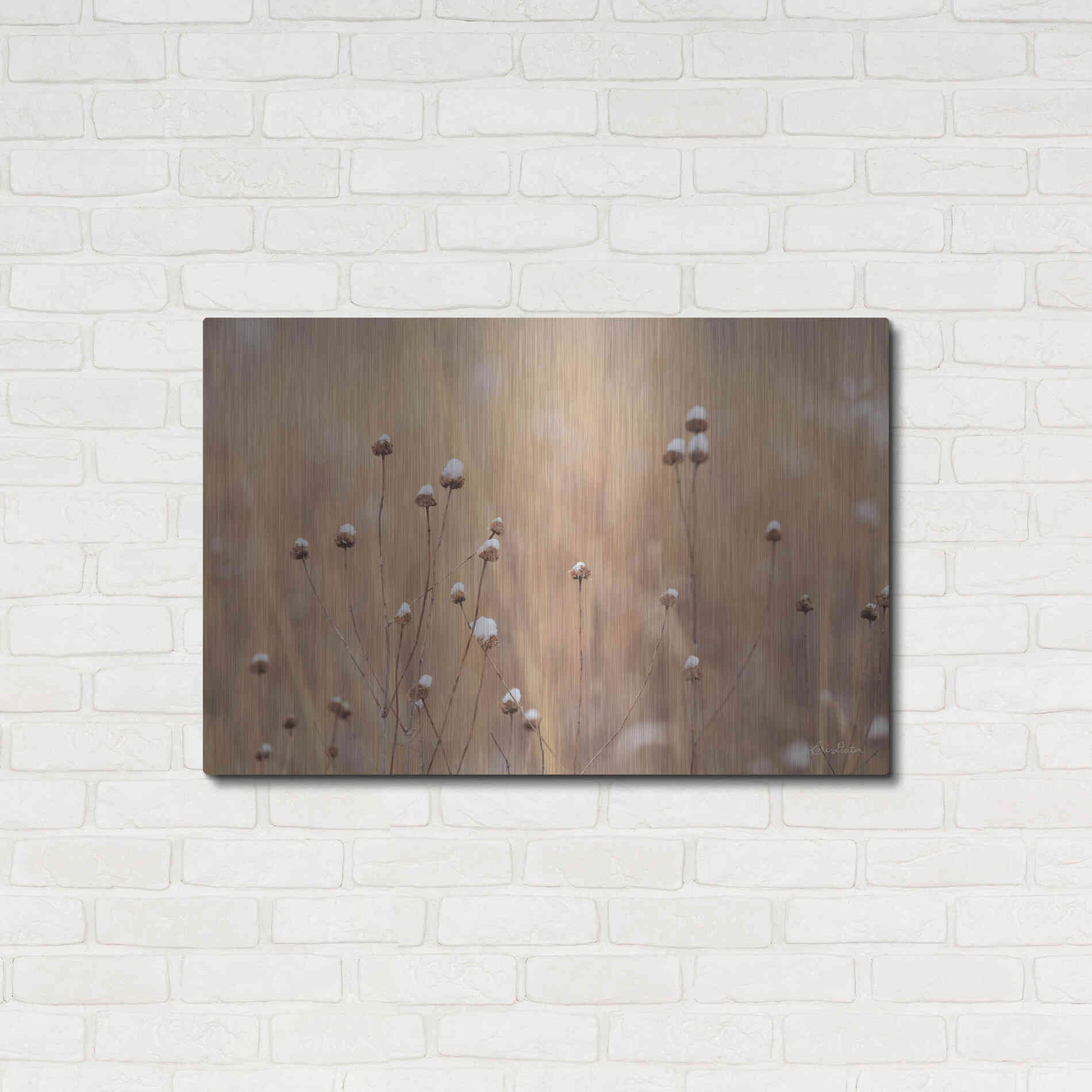 Luxe Metal Art 'Snow Capped Wildflowers' by Lori Deiter, Metal Wall Art,36x24