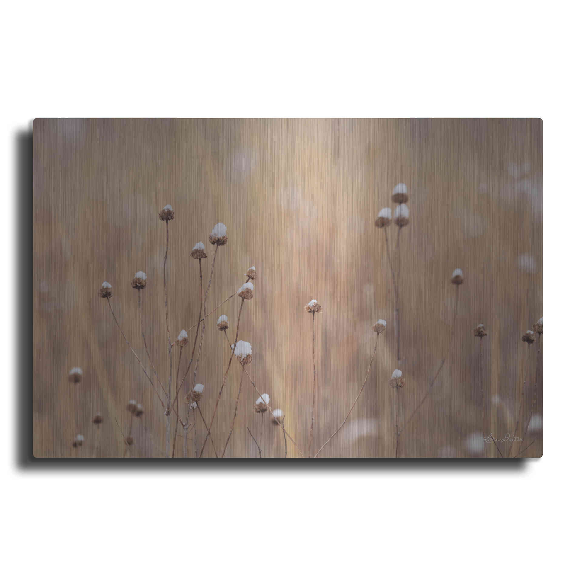 Luxe Metal Art 'Snow Capped Wildflowers' by Lori Deiter, Metal Wall Art
