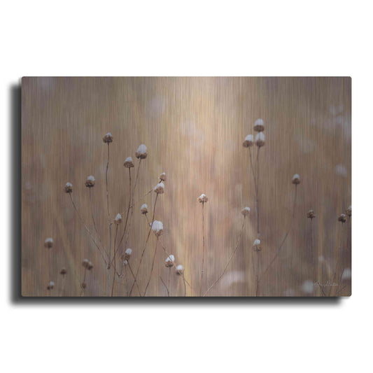Luxe Metal Art 'Snow Capped Wildflowers' by Lori Deiter, Metal Wall Art