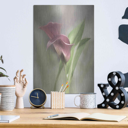 Luxe Metal Art 'Pink Calla Lily' by Lori Deiter, Metal Wall Art,12x16