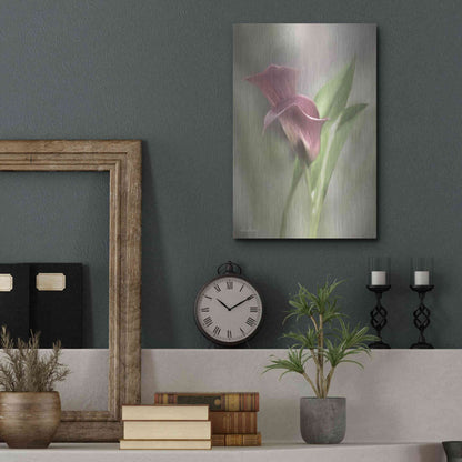 Luxe Metal Art 'Pink Calla Lily' by Lori Deiter, Metal Wall Art,12x16