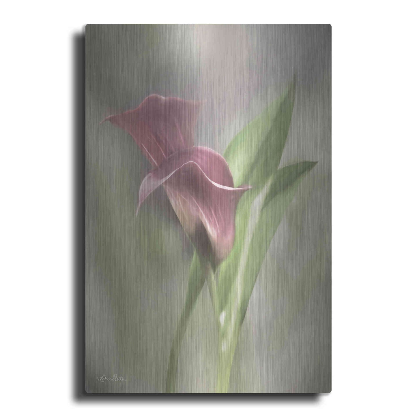 Luxe Metal Art 'Pink Calla Lily' by Lori Deiter, Metal Wall Art