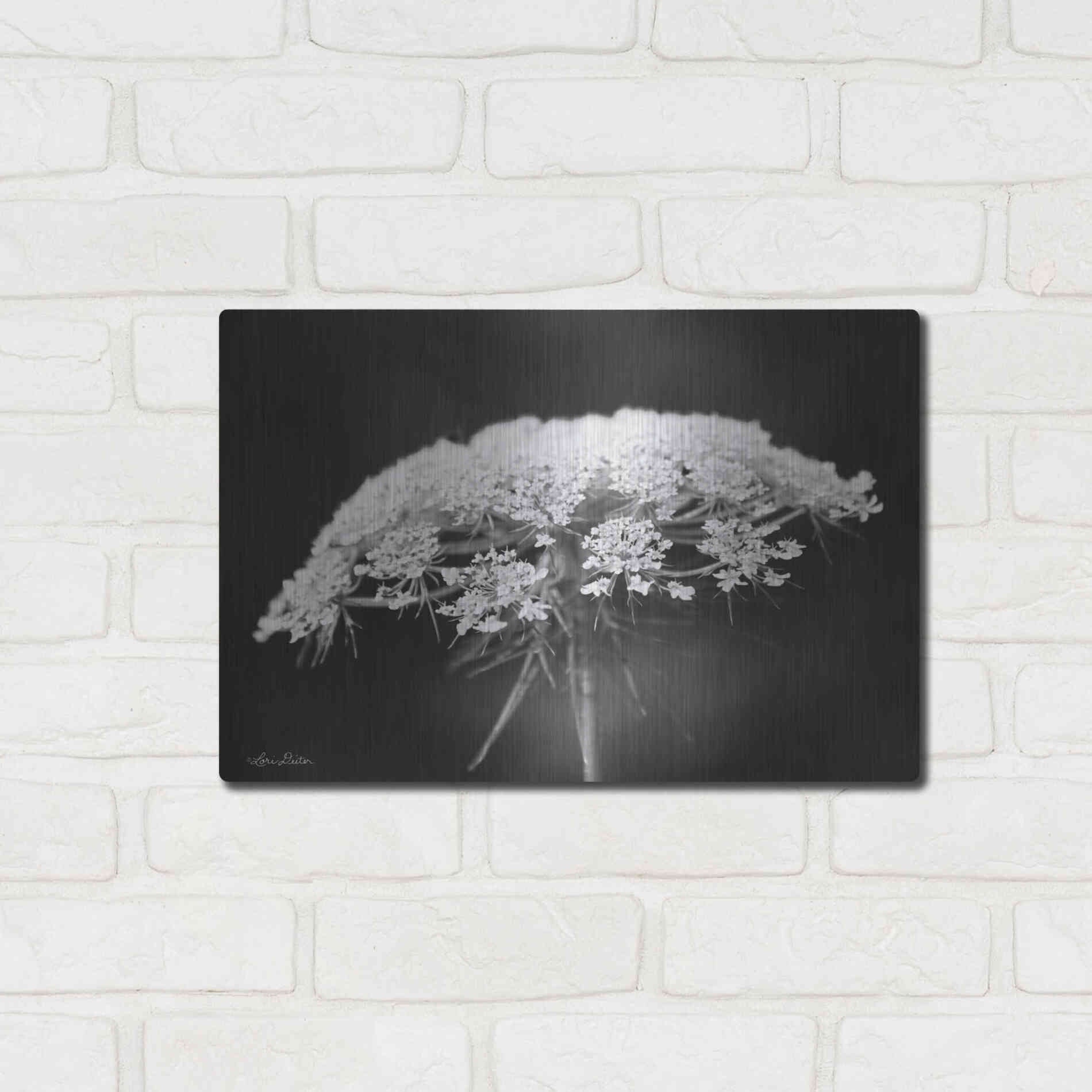 Luxe Metal Art 'Queen Anne's Lace' by Lori Deiter, Metal Wall Art,16x12