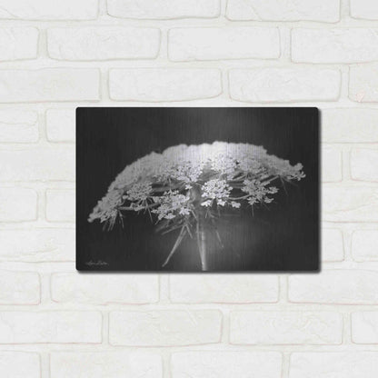 Luxe Metal Art 'Queen Anne's Lace' by Lori Deiter, Metal Wall Art,16x12