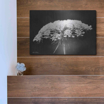 Luxe Metal Art 'Queen Anne's Lace' by Lori Deiter, Metal Wall Art,16x12