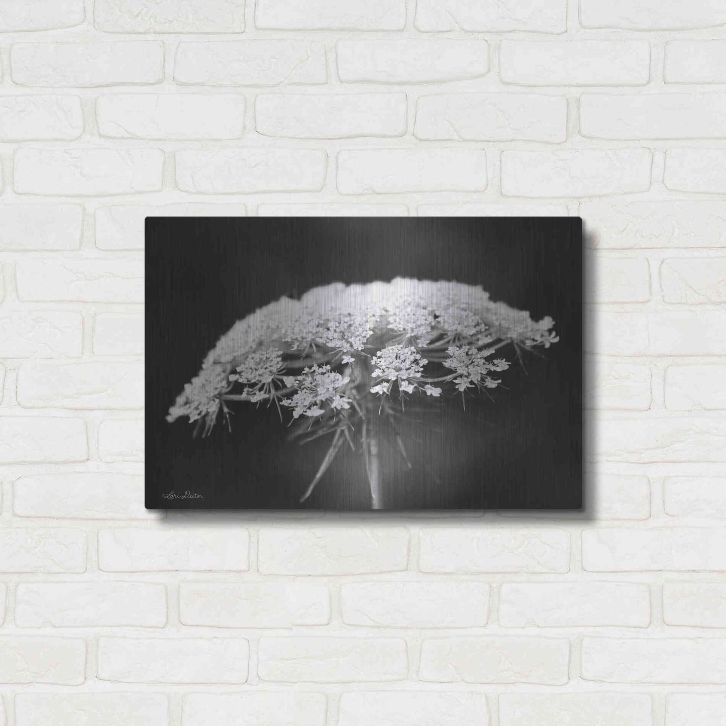 Luxe Metal Art 'Queen Anne's Lace' by Lori Deiter, Metal Wall Art,24x16