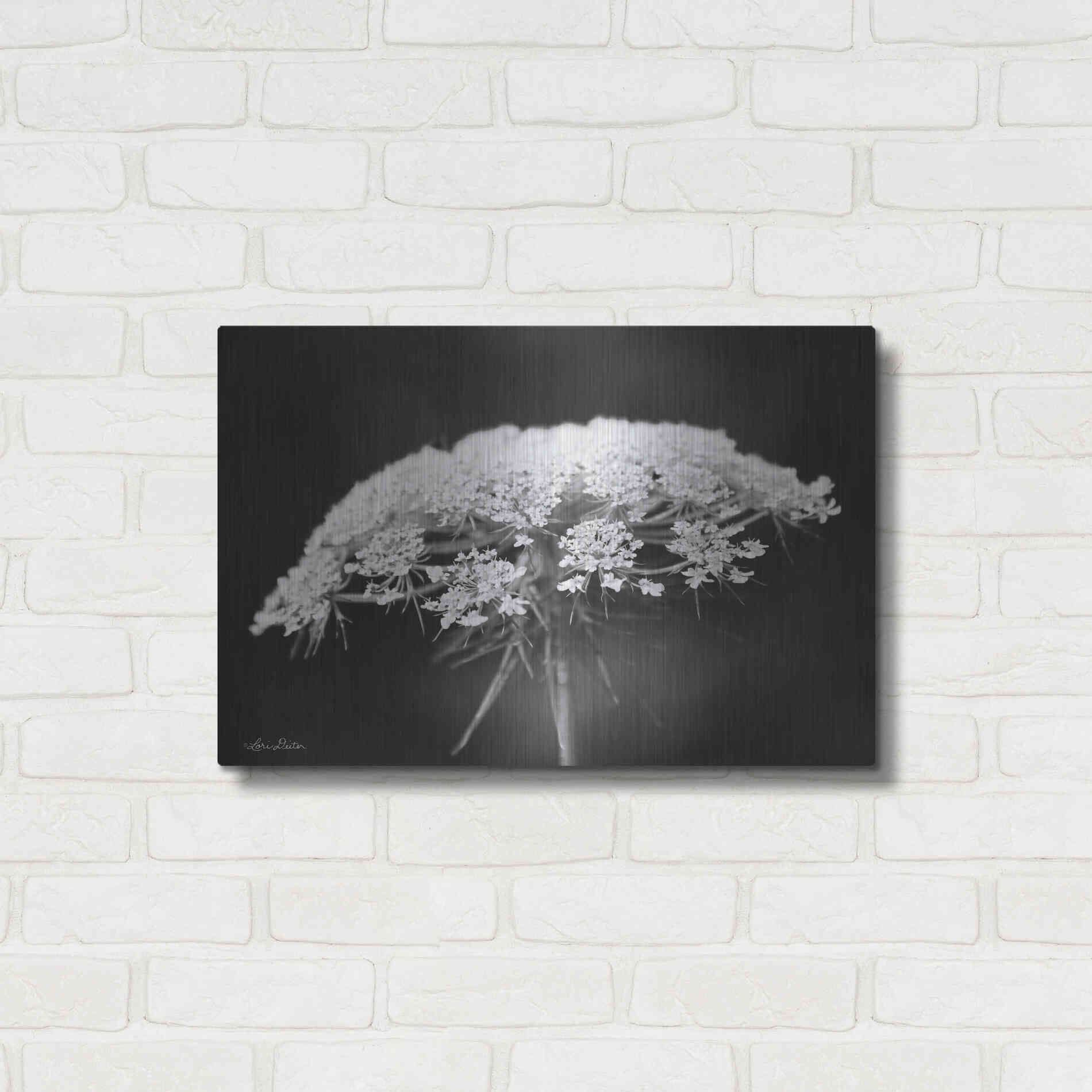 Luxe Metal Art 'Queen Anne's Lace' by Lori Deiter, Metal Wall Art,24x16