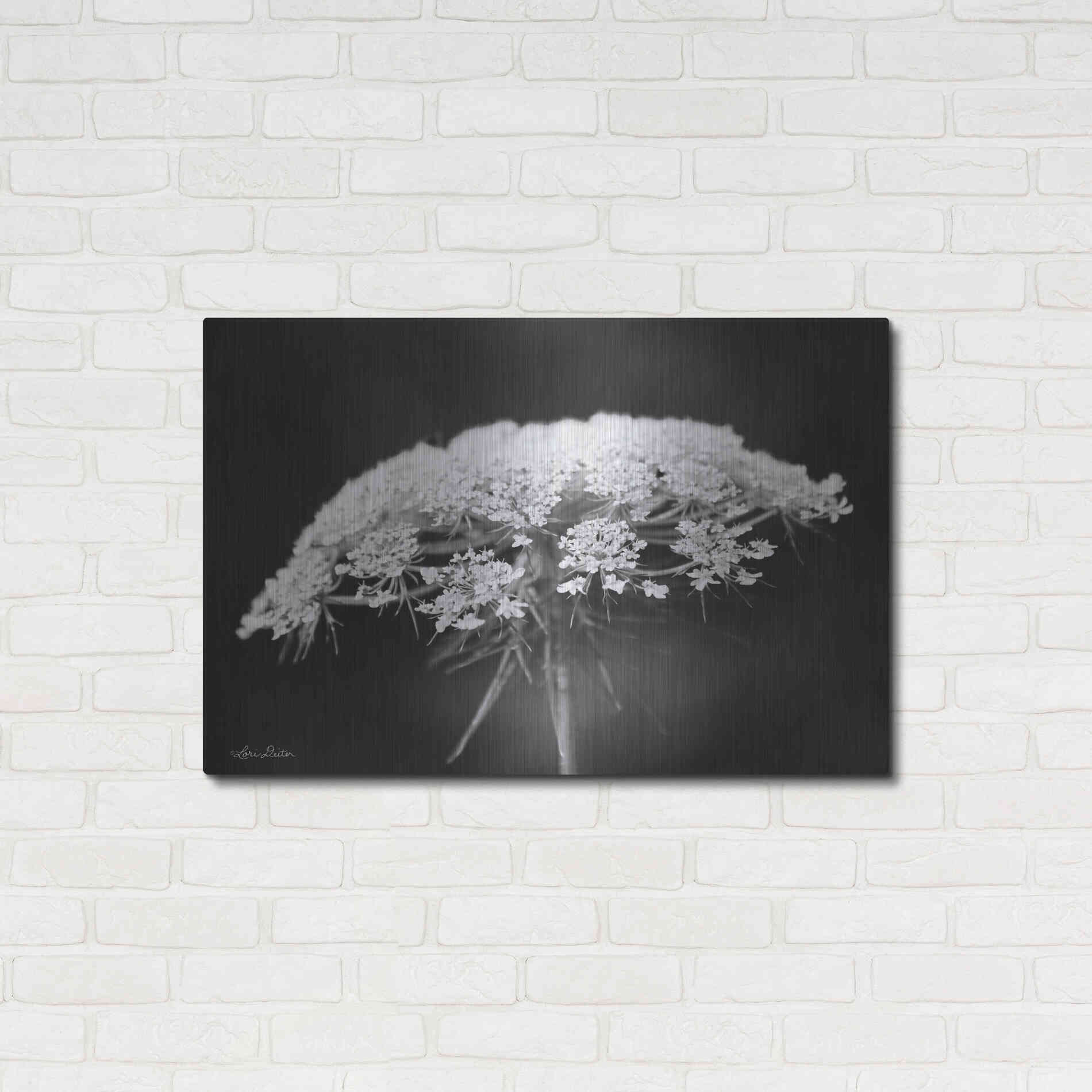 Luxe Metal Art 'Queen Anne's Lace' by Lori Deiter, Metal Wall Art,36x24