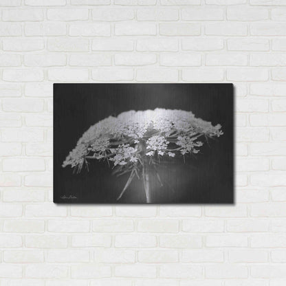 Luxe Metal Art 'Queen Anne's Lace' by Lori Deiter, Metal Wall Art,36x24