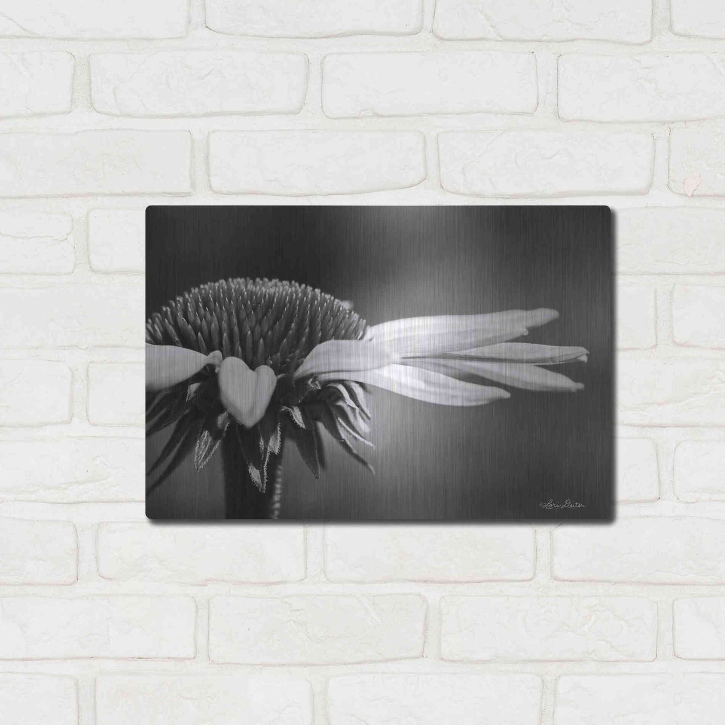 Luxe Metal Art 'Coneflower' by Lori Deiter, Metal Wall Art,16x12