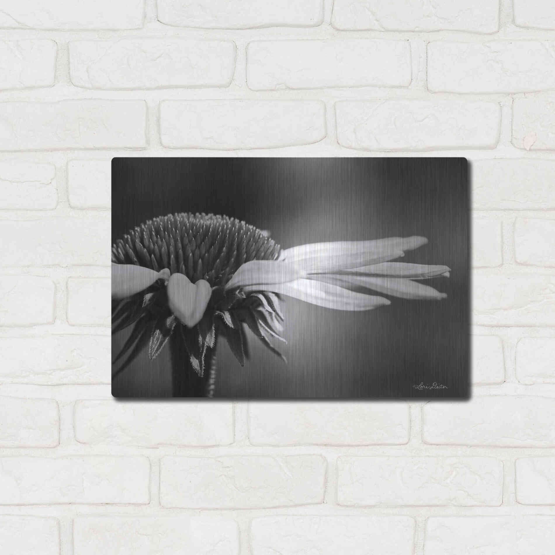 Luxe Metal Art 'Coneflower' by Lori Deiter, Metal Wall Art,16x12