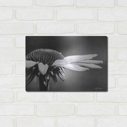 Luxe Metal Art 'Coneflower' by Lori Deiter, Metal Wall Art,16x12