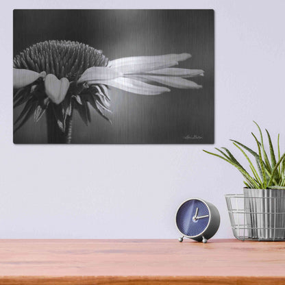 Luxe Metal Art 'Coneflower' by Lori Deiter, Metal Wall Art,16x12