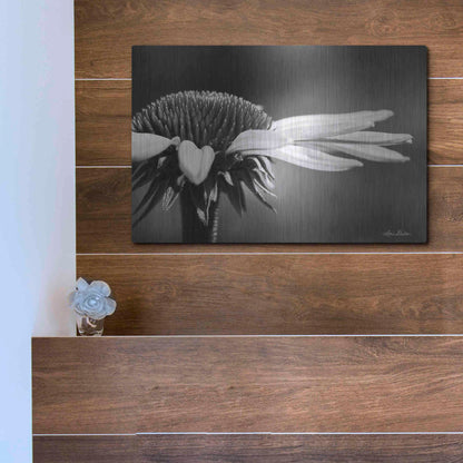 Luxe Metal Art 'Coneflower' by Lori Deiter, Metal Wall Art,16x12