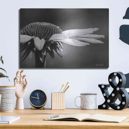 Luxe Metal Art 'Coneflower' by Lori Deiter, Metal Wall Art,16x12