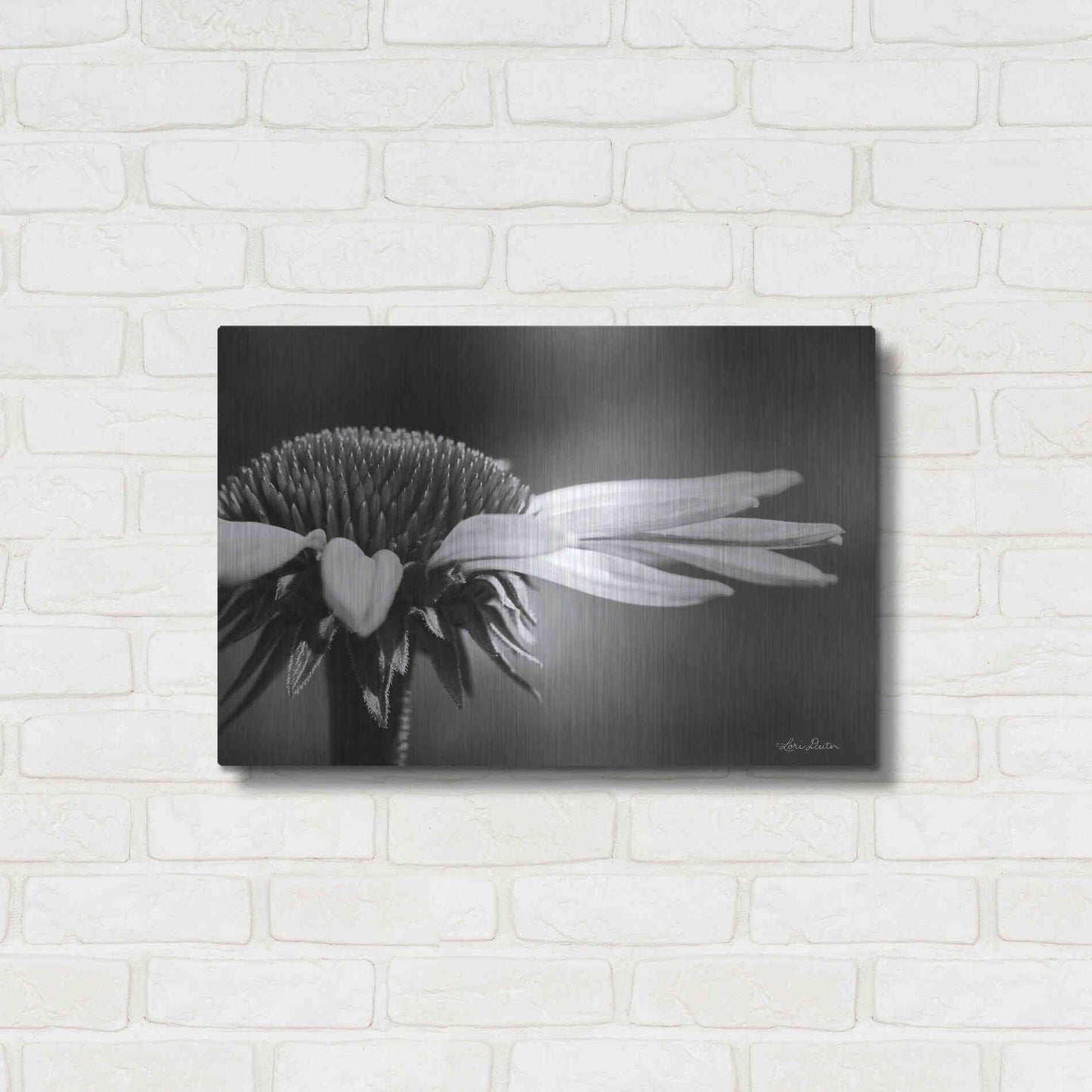 Luxe Metal Art 'Coneflower' by Lori Deiter, Metal Wall Art,24x16