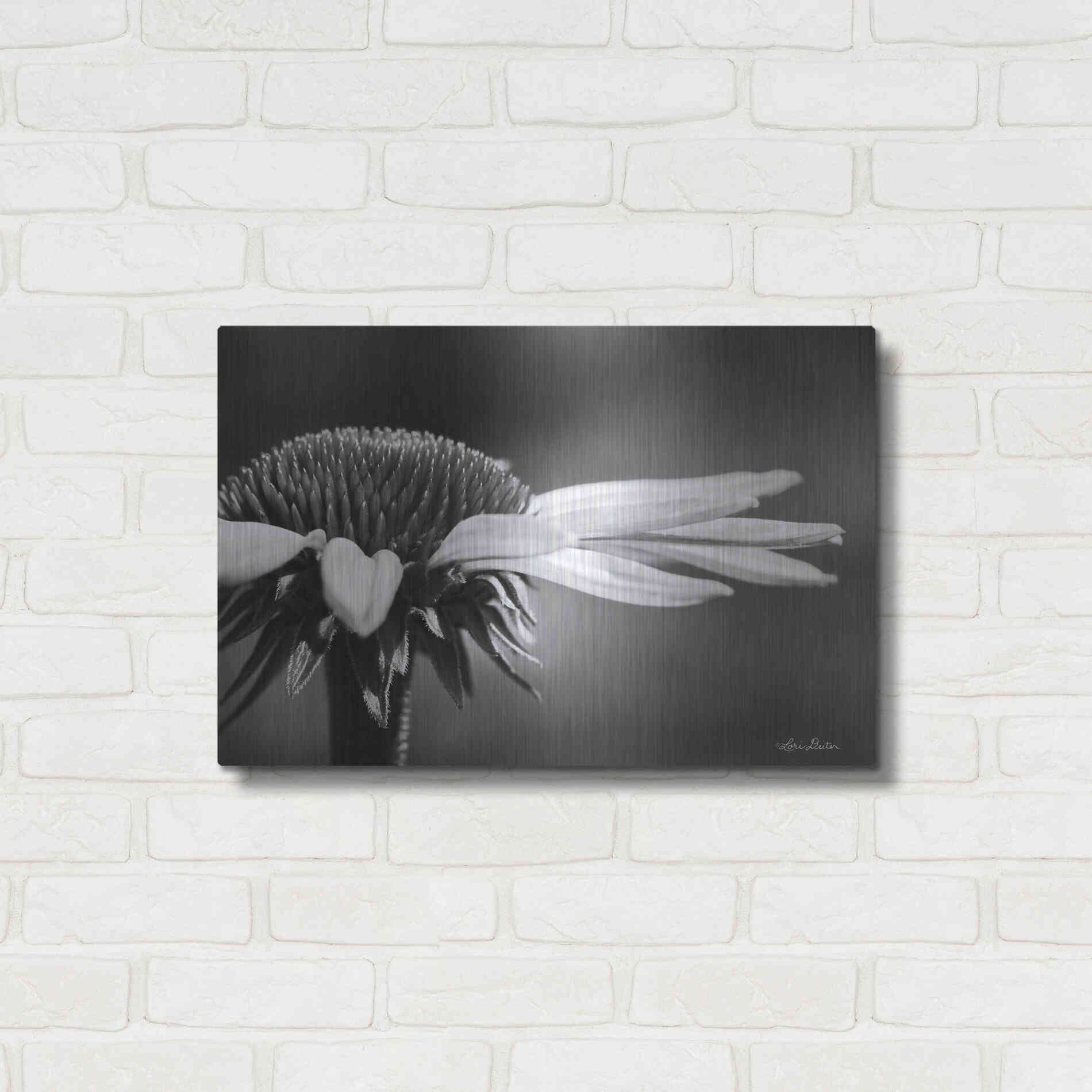 Luxe Metal Art 'Coneflower' by Lori Deiter, Metal Wall Art,24x16