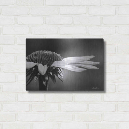Luxe Metal Art 'Coneflower' by Lori Deiter, Metal Wall Art,24x16
