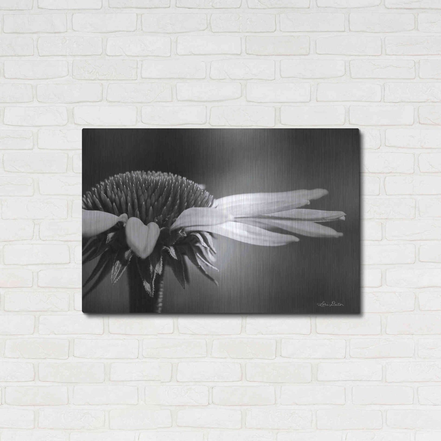 Luxe Metal Art 'Coneflower' by Lori Deiter, Metal Wall Art,36x24