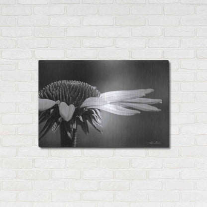 Luxe Metal Art 'Coneflower' by Lori Deiter, Metal Wall Art,36x24