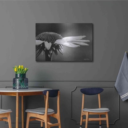 Luxe Metal Art 'Coneflower' by Lori Deiter, Metal Wall Art,36x24