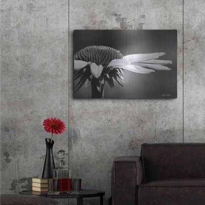 Luxe Metal Art 'Coneflower' by Lori Deiter, Metal Wall Art,36x24
