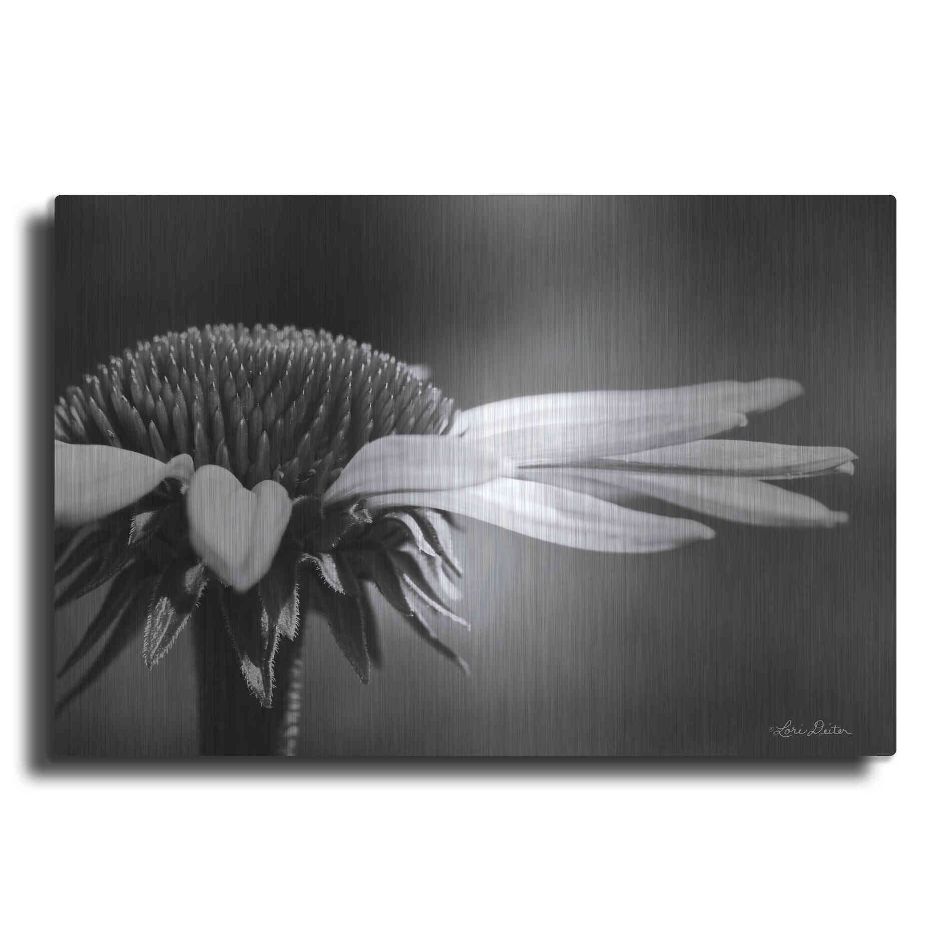 Luxe Metal Art 'Coneflower' by Lori Deiter, Metal Wall Art