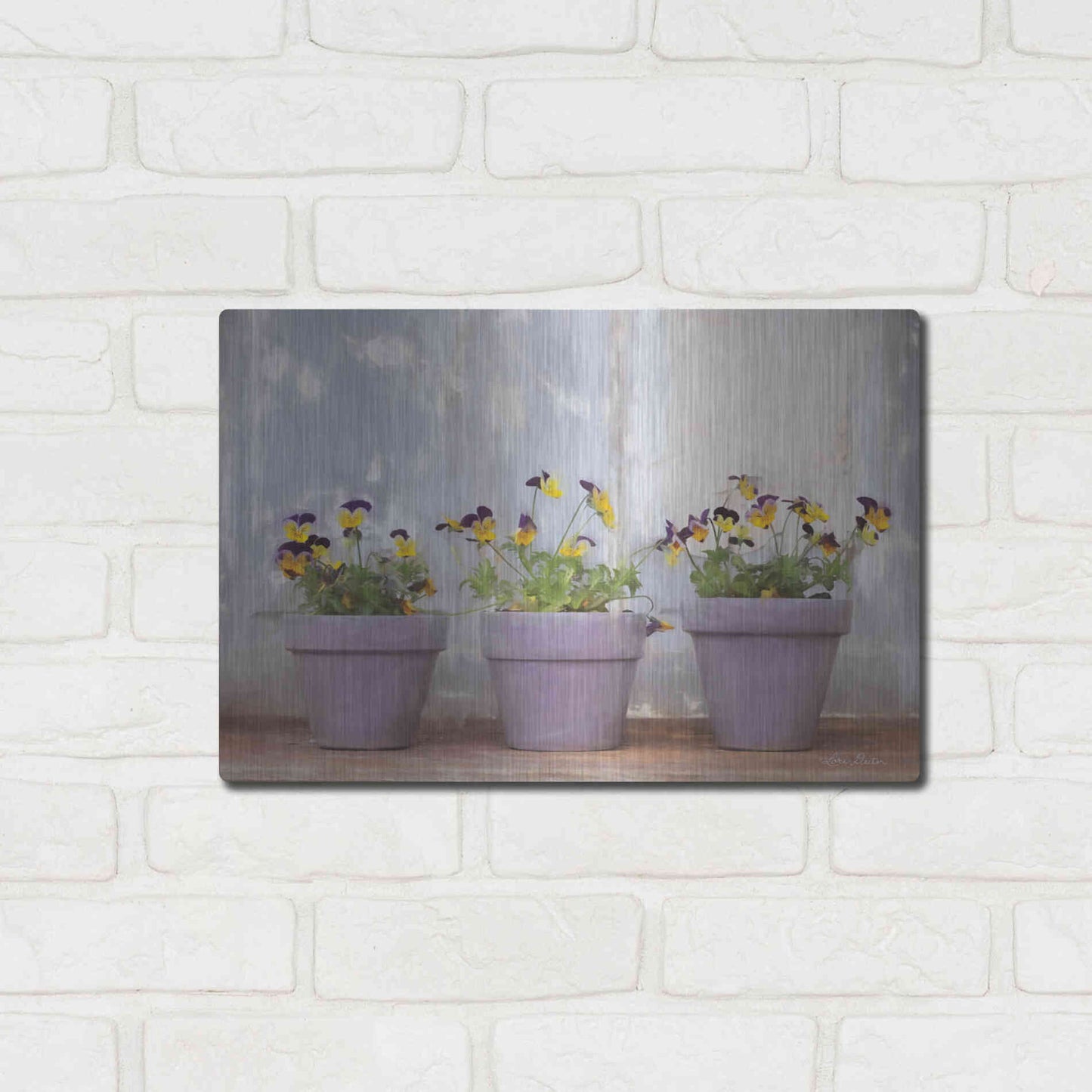 Luxe Metal Art 'Pansy Still Life I' by Lori Deiter, Metal Wall Art,16x12
