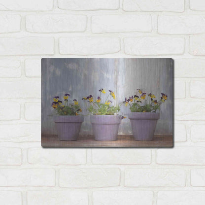 Luxe Metal Art 'Pansy Still Life I' by Lori Deiter, Metal Wall Art,16x12