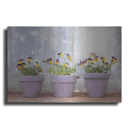Luxe Metal Art 'Pansy Still Life I' by Lori Deiter, Metal Wall Art
