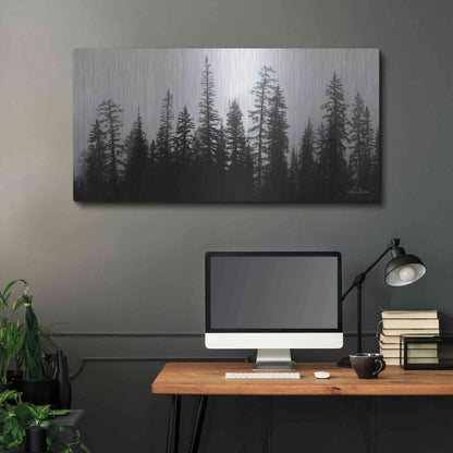 Luxe Metal Art 'Rocky's Trees' by Lori Deiter, Metal Wall Art,48x24