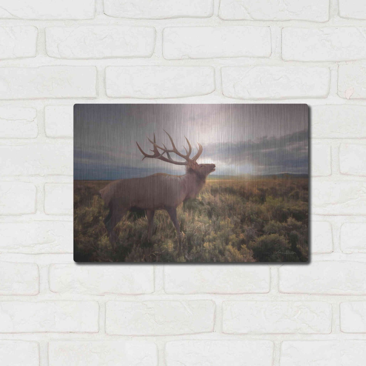 Luxe Metal Art 'Jackson Sunrise with Elk' by Lori Deiter, Metal Wall Art,16x12